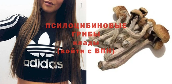 мяу мяу мука Армянск