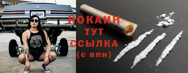 меф Арсеньев