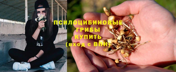 меф Арсеньев